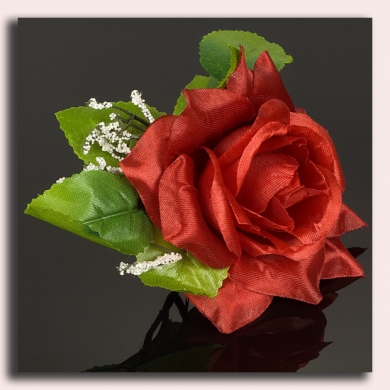 Róża w pąku - główka z liściem Burgund
